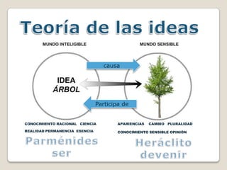 causa




                               Participa de


CONOCIMIENTO RACIONAL CIENCIA          APARIENCIAS   CAMBIO PLURALIDAD

REALIDAD PERMANENCIA ESENCIA           CONOCIMIENTO SENSIBLE OPINIÓN
 
