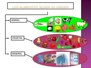 ANIMAL
VEGETAL
MINERAL
 