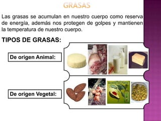 Las grasas se acumulan en nuestro cuerpo como reserva
de energía, además nos protegen de golpes y mantienen
la temperatura de nuestro cuerpo.
TIPOS DE GRASAS:
De origen Animal:
De origen Vegetal:
 