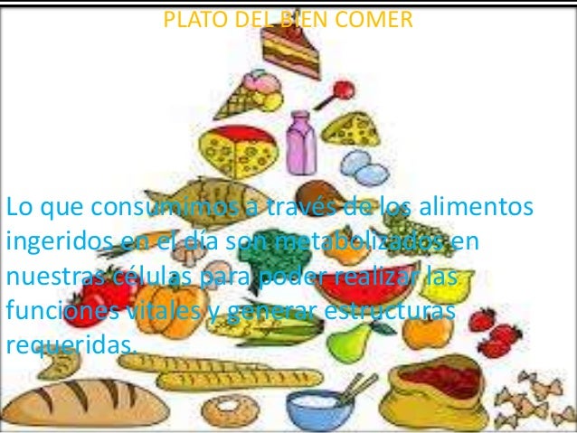 Plato del bien comer