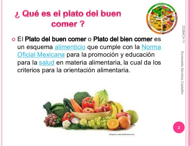 Download Por Que Es Importante El Plato Del Buen Comer