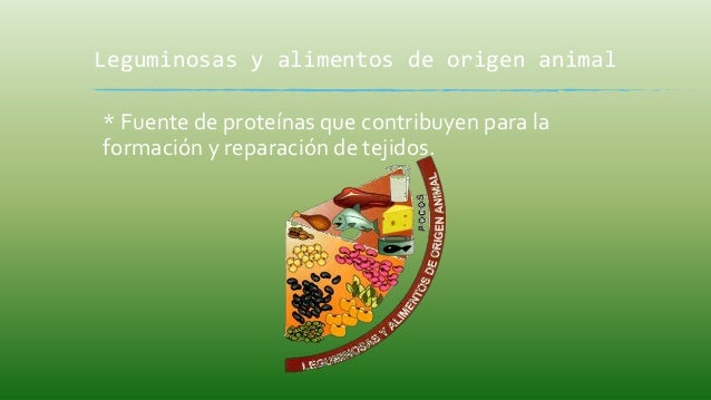 Plato del buen comer niños