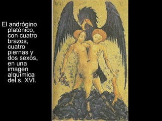 El andrógino platónico, con cuatro brazos, cuatro piernas y dos sexos, en una imagen alquímica del s. XVI.  