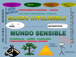 caballo árbol Verdades matemáticas Hombre bueno CABALLO ÁRBOL VERDAD BIEN ALMA MATEMÁTICAS MUNDO SENSIBLE MUNDO INTELIGIBLE APARIENCIAS  CAMBIO  PLURALIDAD CONOCIMIENTO SENSIBLE OPINIÓN CONOCIMIENTO RACIONAL  CIENCIA REALIDAD PERMANENCIA  ESENCIA COPIAS COSAS IDEAS MODELOS conoce percibe purificación 