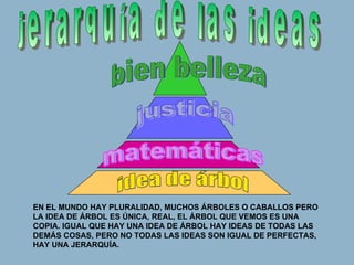 EN EL MUNDO HAY PLURALIDAD, MUCHOS ÁRBOLES O CABALLOS PERO LA IDEA DE ÁRBOL ES ÚNICA, REAL, EL ÁRBOL QUE VEMOS ES UNA COPIA.  IGUAL QUE HAY UNA IDEA DE ÁRBOL HAY IDEAS DE TODAS LAS DEMÁS COSAS, PERO NO TODAS LAS IDEAS SON IGUAL DE PERFECTAS, HAY UNA JERARQUÍA. jerarquía de las ideas bien belleza justicia matemáticas idea de árbol 