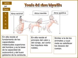 Teoría del alma tripartita Alma racional Alma irascible Alma apetitiva En ella reside el fundamento de las capacidades intelectuales superiores del hombre y es la base de la capacidad de autocontrol y del buen gobierno de la conducta.   En ella reside el principio del valor y del coraje, así como los impulsos más nobles. Similar a la de los animales y cuya meta es satisfacer los deseos del cuerpo. MITO Carro A L A D O del 