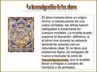 La transmigración de las almas El alma humana tiene un origen divino; a consecuencia de una culpa cometida, las almas fueron castigadas a encarnarse en cuerpos mortales. La muerte puede suponer la liberación  definitiva, si el alma vive durante su estancia terrenal de acuerdo con su naturaleza ideal. Si no lleva una existencia digna, es castigada de nuevo a reanudar la serie de  transmigraciones ,  que le pueden llevar a emigrar a cuerpos de hombres o de animales.  