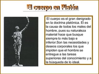 El cuerpo en Platón El cuerpo es el gran denigrado en la doctrina platónica. El es la causa de todos los males del hombre, pues su naturaleza material hace que busque siempre lo más bajo e inferior.Son las necesidades y deseos corporales los que impiden que el hombre se entregue a las tareas superiores del conocimiento y a la búsqueda de lo ideal.   