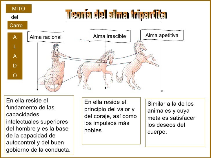 iluminacion significado biblico platon iluminacion significado biblico platon