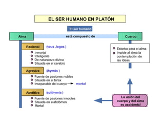 Platón Análisis Fundamental | PPT