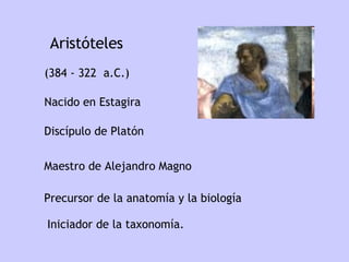 Aristóteles Nacido en  Estagira ( 384  -  322    a.C.)  P recursor de la anatomía y la biología  Discípulo de Platón Maestro de Alejandro Magno Iniciador  de la taxonomía. 