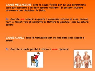 CAUSE MECCANICHE: sono le cause fisiche per cui una determinata
cosa può accadere o un dato oggetto esistere. Si possono studiare
attraverso una disciplina: la fisica.


Es. Socrate può sedersi in quanto il complesso sistema di ossa, muscoli,
nervi e tessuti vari gli permette di flettere le giunture, così da potersi
sedere.




CAUSE FINALI: sono le motivazioni per cui una data cosa accade o
esiste.


Es. Socrate si siede perché è stanco e vuole riposarsi.
 