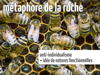 métaphore de la ruche


         anti-individualisme
         + idée de natures fonctionnelles
 