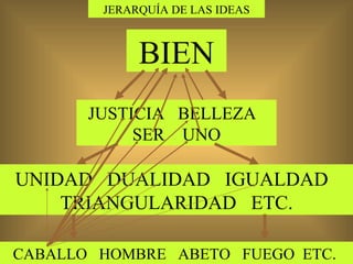 JERARQUÍA DE LAS IDEAS BIEN JUSTICIA  BELLEZA  SER  UNO UNIDAD  DUALIDAD  IGUALDAD  TRIANGULARIDAD  ETC. CABALLO  HOMBRE  ABETO  FUEGO  ETC.  