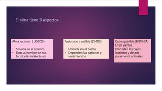 platon psicologia educativa es un tema que habla acerca de la filosofia ...