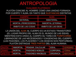 ANTROPOLOGIA DUALISMO PLATÓNICO  PLATÓN CONCIBE AL HOMBRE COMO UNA UNIDAD FORMADA POR CUERPO Y ALMA, EN TANTO QUE  SUSTANCIAS  DISTINTAS LA UNIÓN DEL  ALMA  AL CUERPO ES UN ESTADO TRANSITORIO (EL LUGAR PROPIO DEL ALMA ES EL MUNDO DE LAS IDEAS) MIENTRAS ESTA UNIDA AL CUERPO SU TAREA ES  PURIFICARSE LIBRÁNDOSE DE LAS NECESIDADES Y EXIGENCIAS DEL CUERPO (LAS PASIONES, LOS PLACERES Y LOS DESEOS NOS PERTURBAN) PLATÓN DISTINGUE  TRES PARTES  DEL ALMA HUMANA: INMORTAL (ETERNA) MORTAL (PERECEDERA) INMATERIAL MATERIAL ÁMBITO DE LAS IDEAS ÁMBITO DE LAS COSAS ALMA CUERPO MORTAL MORTAL INMORTAL ORGÁNICA CORPORAL IDEAL PASIONES INNOBLES PASIONES NOBLES PENSAR, CALCULAR APETITO ÁNIMO RAZÓN ABDOMEN TÓRAX CEREBRO 