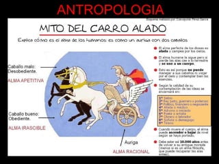 ANTROPOLOGIA 