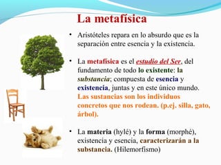 • Aristóteles repara en lo absurdo que es la
separación entre esencia y la existencia.
• La metafísica es el estudio del Ser, del
fundamento de todo lo existente: la
substancia; compuesta de esencia y
existencia, juntas y en este único mundo.
Las sustancias son los individuos
concretos que nos rodean. (p.ej. silla, gato,
árbol).
• La materia (hylé) y la forma (morphé),
existencia y esencia, caracterizarán a la
substancia. (Hilemorfismo)
 