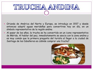  Oriunda de América del Norte y Europa, se introdujo en 1937 y desde
entonces adoptó aguas merideñas para convertirse hoy en día, en un
símbolo representativo de la región andina
 Al pasar de los años, la trucha se ha convertido en un icono representativo
de Mérida. Al hablar del pez, inmediatamente se asocia con la zona andina y
es muy común que la primera pregunta del turista al llegar a la ciudad de
Santiago de los Caballeros es ¿dónde comprar una trucha?
 