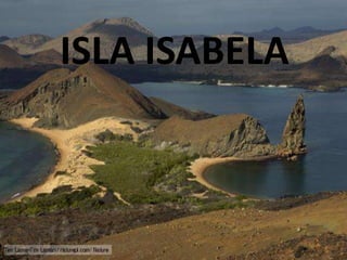 ISLA ISABELA
 