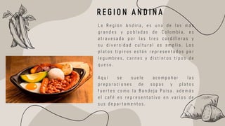 L a R e g i ó n A n d i n a , e s u n a d e l a s m á s
g r a n d e s y p o b l a d a s d e C o l o m b i a , e s
a t r a v e s a d a p o r l a s t r e s c o r d i l l e r a s y
s u d i v e r s i d a d c u l t u r a l e s a m p l i a . L o s
p l a t o s t í p i c o s e s t á n r e p r e s e n t a d o s p o r
l e g u m b r e s , c a r n e s y d i s t i n t o s t i p o s d e
q u e s o .
A q u í s e s u e l e a c o m p a ñ a r l a s
p r e p a r a c i o n e s d e s o p a s y p l a t o s
f u e r t e s c o m o l a B a n d e j a P a i s a . a d e m á s
e l c a f é e s r e p r e s e n t a t i v o e n v a r i o s d e
s u s d e p a r t a m e n t o s .
R E G I O N A N D I N A
 