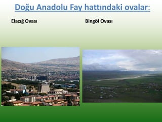 Doğu Anadolu Fay hattındaki ovalar:
Elazığ Ovası Bingöl Ovası
 