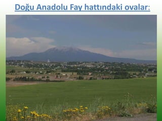 Doğu Anadolu Fay hattındaki ovalar:
 