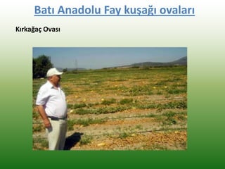 Batı Anadolu Fay kuşağı ovaları
Kırkağaç Ovası
 