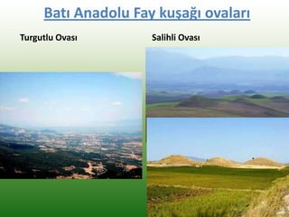 Batı Anadolu Fay kuşağı ovaları
Turgutlu Ovası Salihli Ovası
 