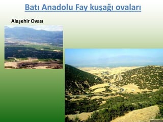 Batı Anadolu Fay kuşağı ovaları
Alaşehir Ovası
 