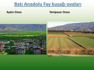 Batı Anadolu Fay kuşağı ovaları
Aydın Ovası Yenipazar Ovası
 