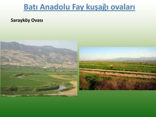 Batı Anadolu Fay kuşağı ovaları
Sarayköy Ovası
 