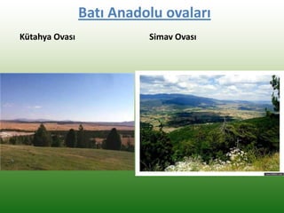 Batı Anadolu ovaları
Kütahya Ovası Simav Ovası
 