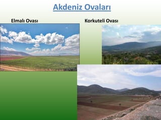 Akdeniz Ovaları
Elmalı Ovası Korkuteli Ovası
 