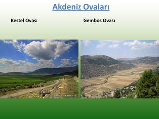 Akdeniz Ovaları
Kestel Ovası Gembos Ovası
 