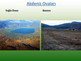 Akdeniz Ovaları
Suğla Ovası Bozova
 