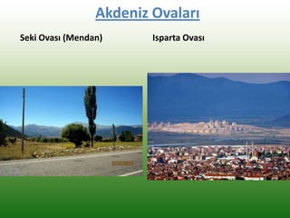 Akdeniz Ovaları
Seki Ovası (Mendan) Isparta Ovası
 