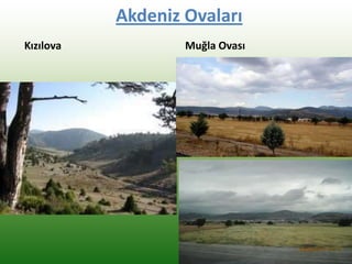 Akdeniz Ovaları
Kızılova Muğla Ovası
 