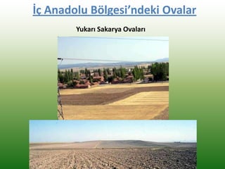 İç Anadolu Bölgesi’ndeki Ovalar
Yukarı Sakarya Ovaları
 