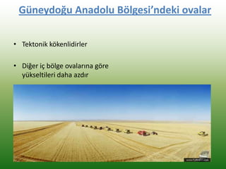 Güneydoğu Anadolu Bölgesi’ndeki ovalar
• Tektonik kökenlidirler
• Diğer iç bölge ovalarına göre
yükseltileri daha azdır
 