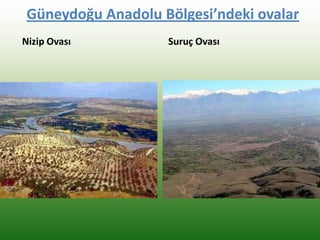 Güneydoğu Anadolu Bölgesi’ndeki ovalar
Nizip Ovası Suruç Ovası
 