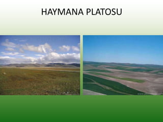 HAYMANA PLATOSU
 