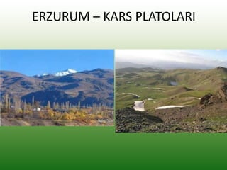 ERZURUM – KARS PLATOLARI
 