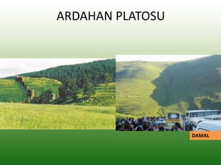 ARDAHAN PLATOSU
DAMAL
 