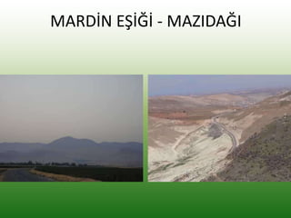 MARDİN EŞİĞİ - MAZIDAĞI
 