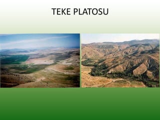TEKE PLATOSU
 