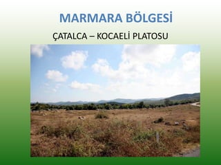 MARMARA BÖLGESİ
ÇATALCA – KOCAELİ PLATOSU
 