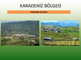 KARADENİZ BÖLGESİ
PERŞEMBE PLATOSU
 