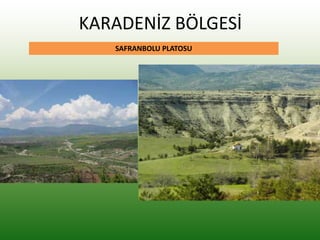 KARADENİZ BÖLGESİ
SAFRANBOLU PLATOSU
 