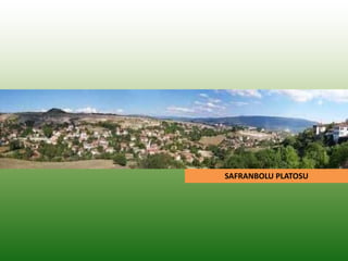 SAFRANBOLU PLATOSU
 